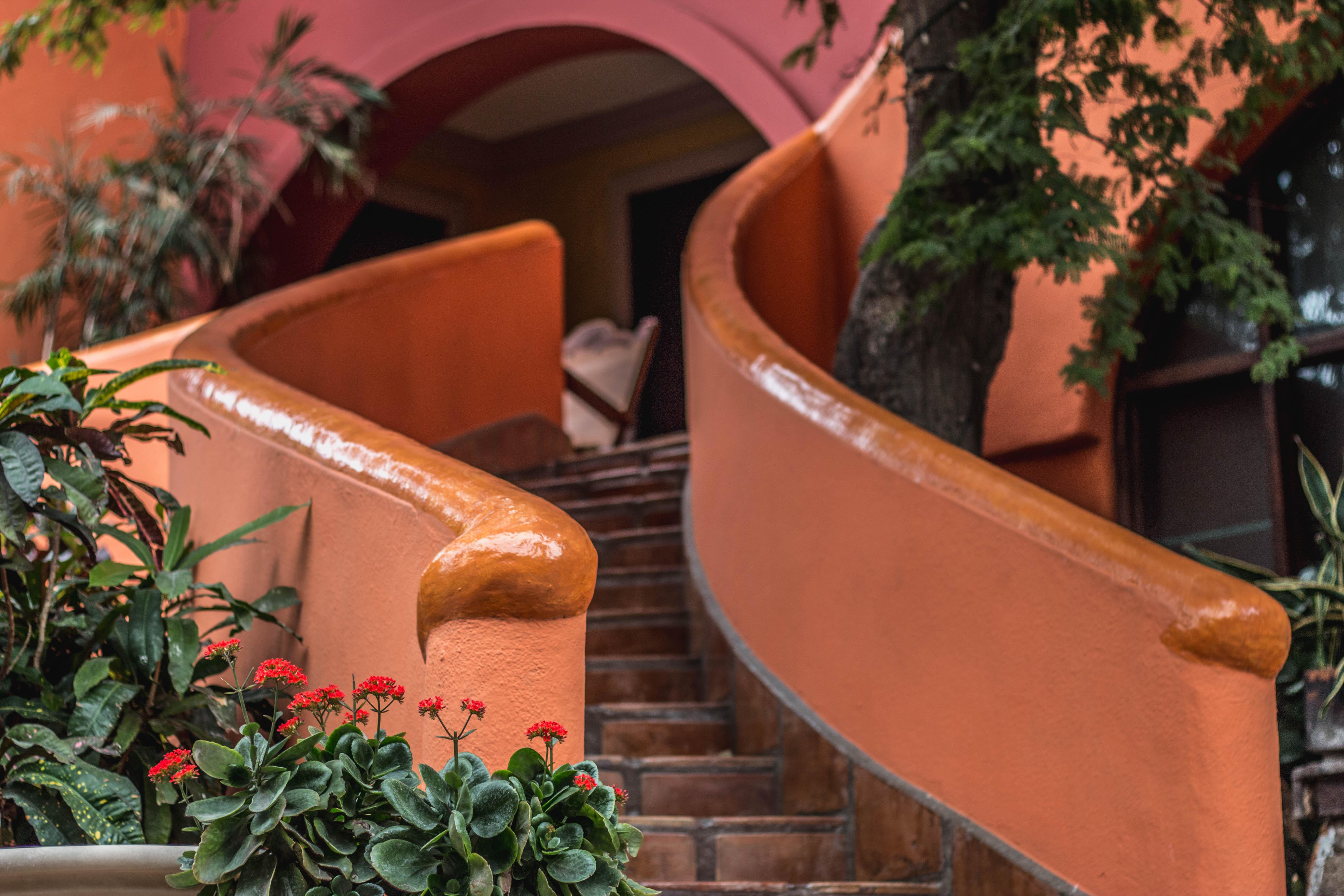 Collection O Casa Bella Hotel Boutique, كابو سان لوكاس المظهر الخارجي الصورة